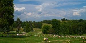 Lafayette Memorial Park 